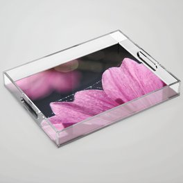 Petals by Denise Dietrich  Acrylic Tray