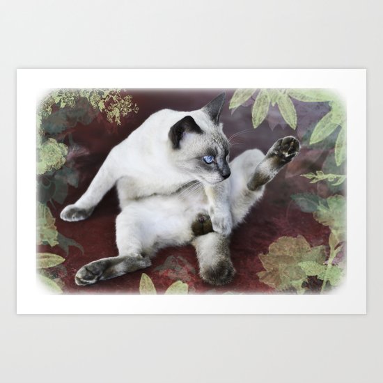 obscene cat Art Print