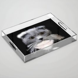 Spiked Grey and White Cat Acrylic Tray