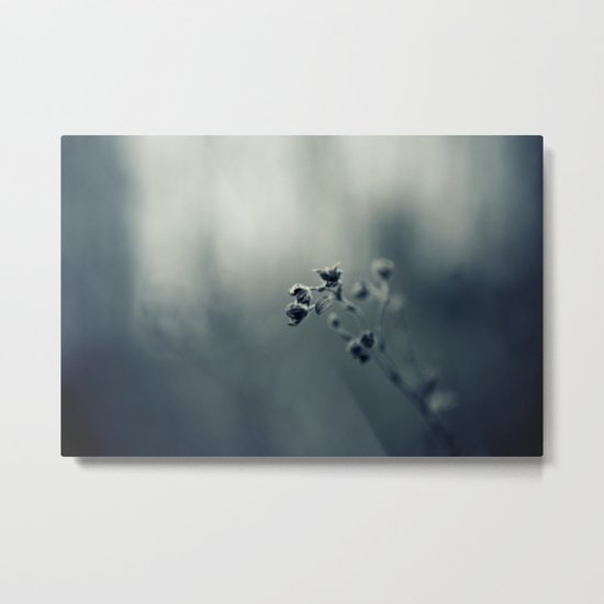 seeking warmth Metal Print