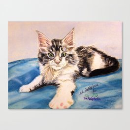 Original Pet Animals Artwork Non Profit Maine Coon Kitten Cat