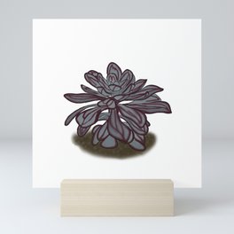  Echeveria Nodulosa, Painted Echeveria  Mini Art Print