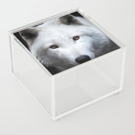 white wolf Acrylic Box