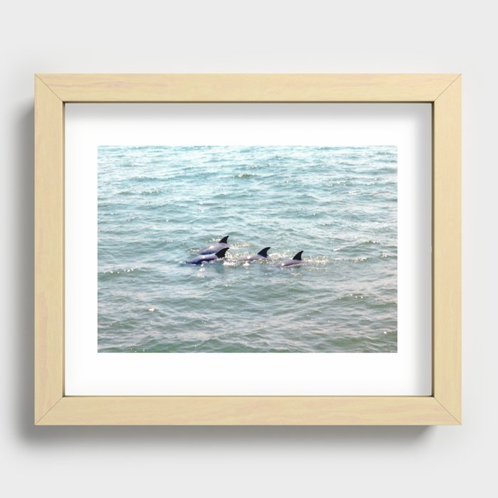 Happy Dolphin Family Recessed Framed Print