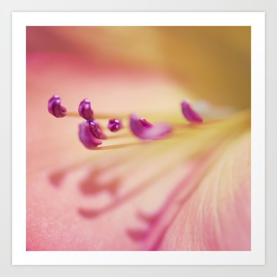 Shadows from the Pale Art Print