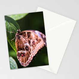 Blue Morpho Butterfly 4 Stationery Card