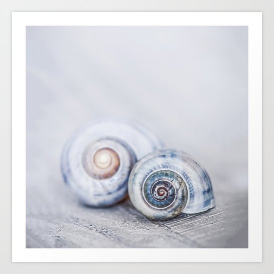 Blue Shells on white washed wood in soft pastel blues Art Print