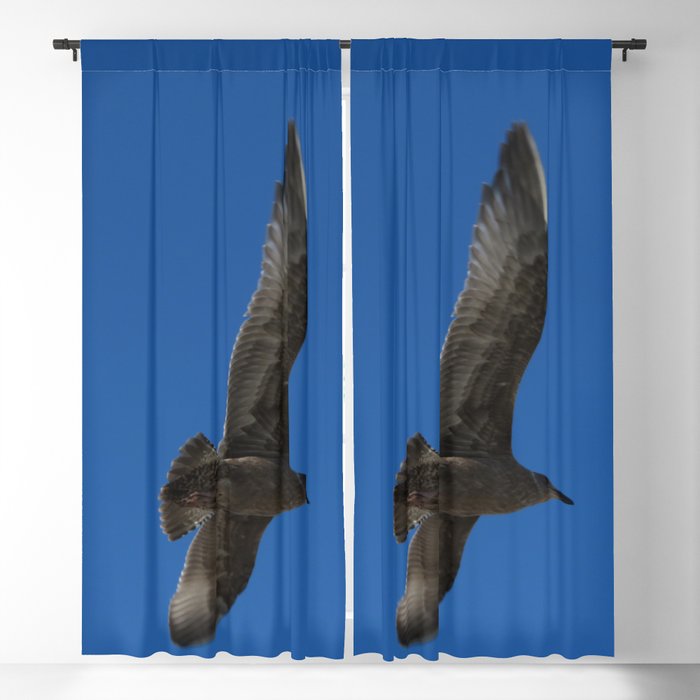Flying Hawk Blackout Curtain