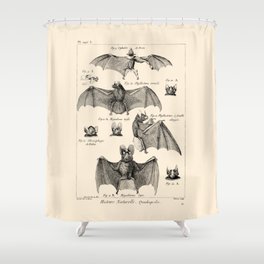 Vintage Bat Diagram Shower Curtain