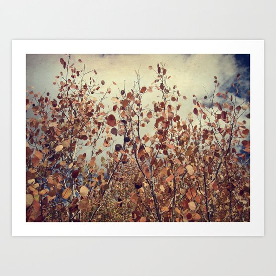 Fall color Art Print