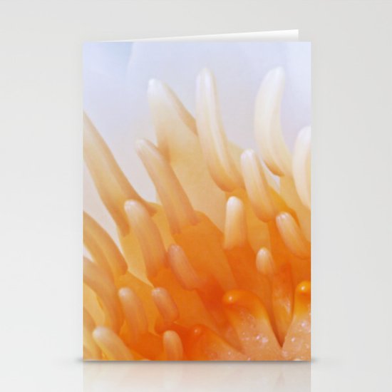 Water Lilly - heart Stationery Cards