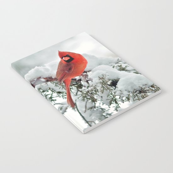 Cardinal on Snowy Branch #2 Notebook