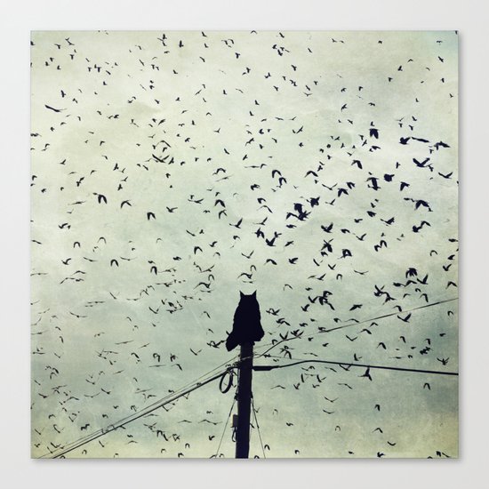 The Dreamer Canvas Print