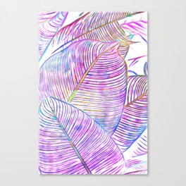 Pink Banana Leaves | Tropical Botanical Jungle | Ultraviolet Purple Nature Plants | Eclectic Forest Canvas Print