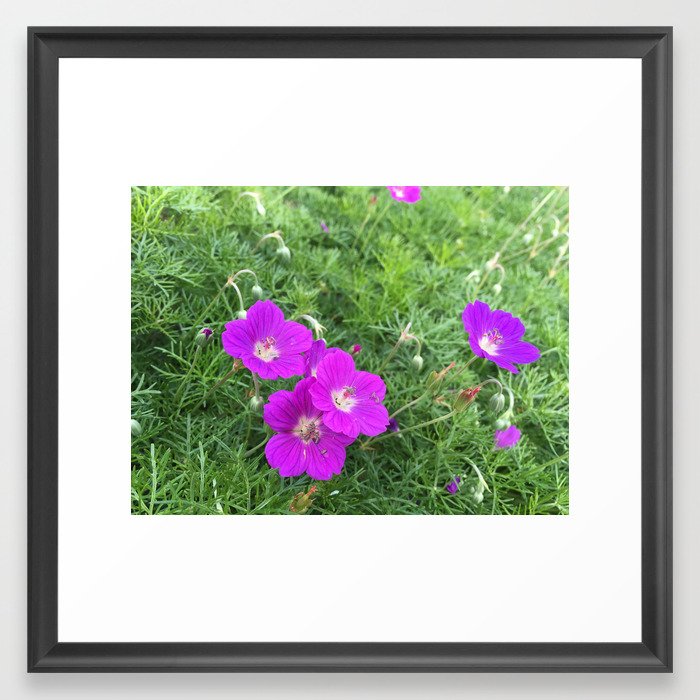 Purple-Pink Flowers Framed Art Print