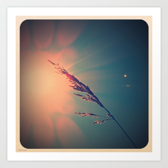 Nature's little wonders ^^ Art Print