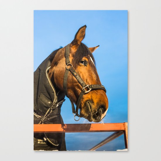 Hide and seek Canvas Print