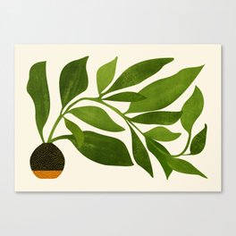 The Wanderer - House Plant Illustration Canvas Print