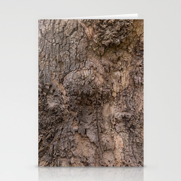 bark pattern of a tree in nature forest Stationery Cards