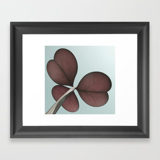 three leaf clover Framed Art Print