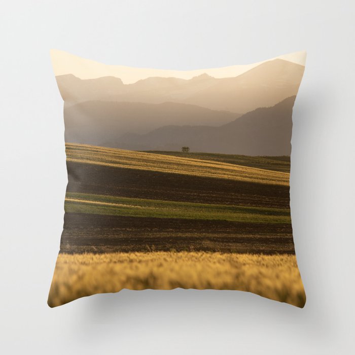 The Four Layers Throw Pillow