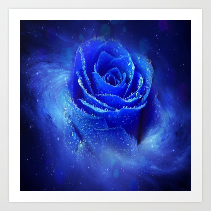 Details about   Giclee Fine Art Prints Flower Vibrant Color VARIOUS SIZES Blue Rose Pink Origina 