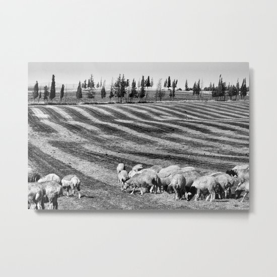Sheeep Metal Print