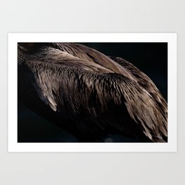 Feather Texture Art Print