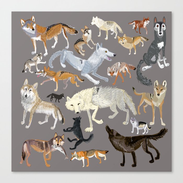 Wolves Of The World 1 Canvas Print By Natachapink Society6