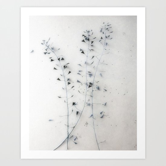 Straw I Art Print