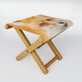Japanese red fox resting, sleeping and playing in the white snow forest background in Japan Folding Stool