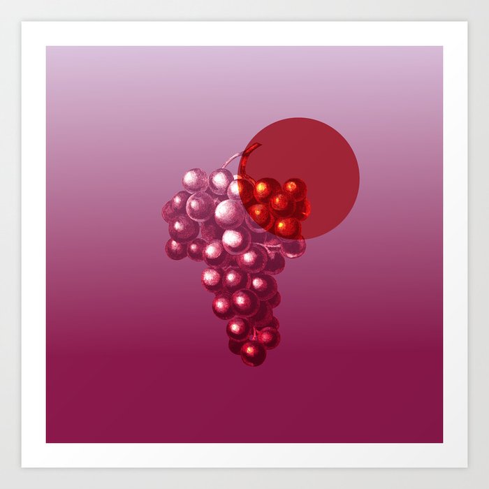 WINE TASTING - Simple Illustration of Red Grapes   Art Print