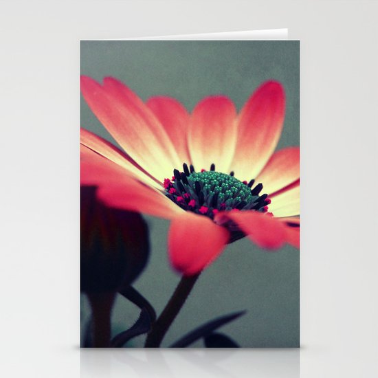 Look for your middle Stationery Cards