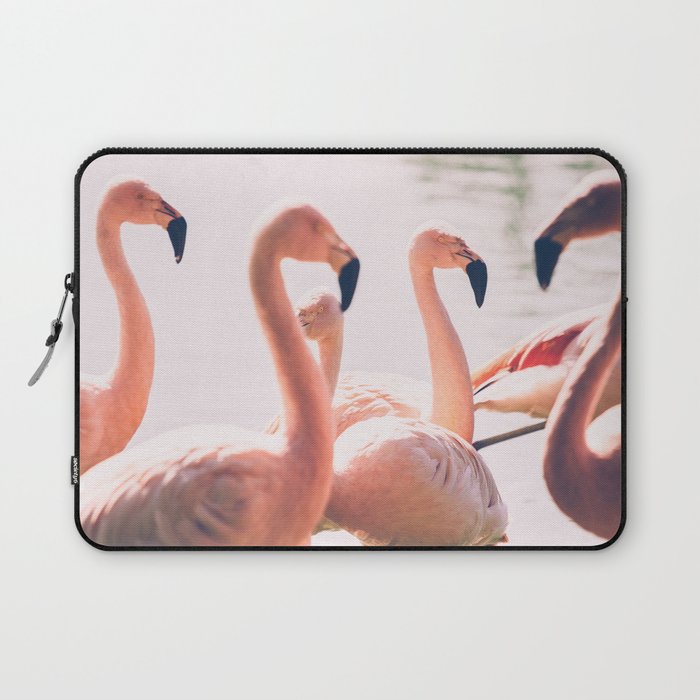 Pink Flamingo Photo Print - Pastel Flamingos Wall Art - Nature Photography Laptop Sleeve