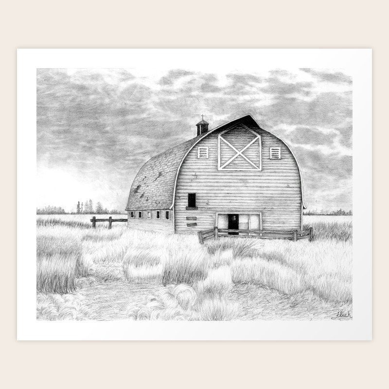 Farm Lanscape Heritage Homestead Barn Drawing Art Print By