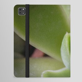 Green Cacti Leaf iPad Folio Case