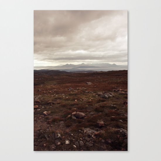 Bleak Beauty 4 Canvas Print
