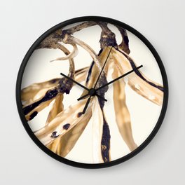 photo of a dry plant Wall Clock
