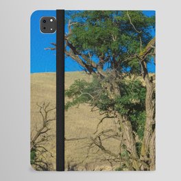 Hawk in Tree, Great Plains Nature iPad Folio Case