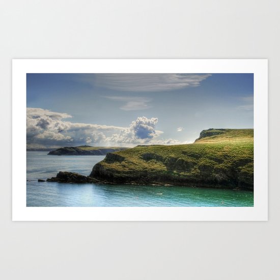 Skomer Island Art Print