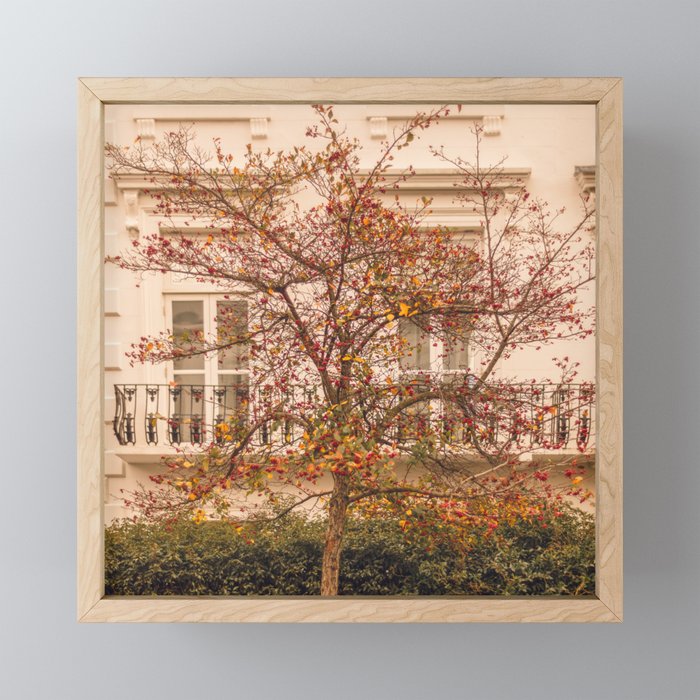 London Autumn tree | Street photography  Framed Mini Art Print