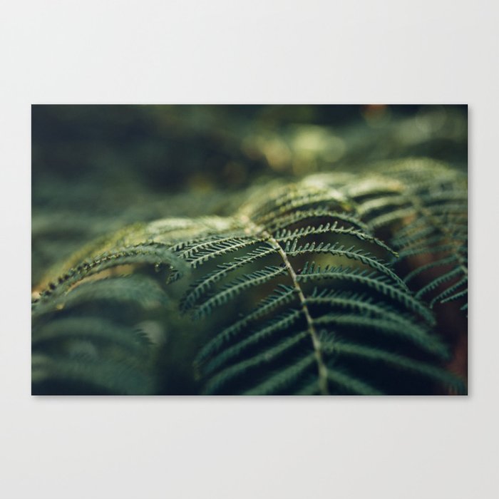 Green and Golden Canvas Print