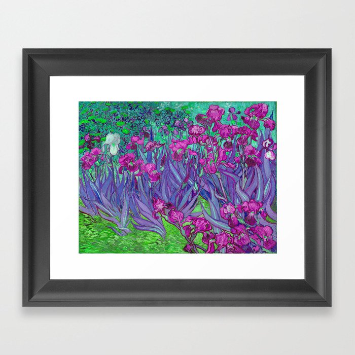 Vincent Van Gogh Irises Painting Violet Fuchsia Palette Framed Art Print