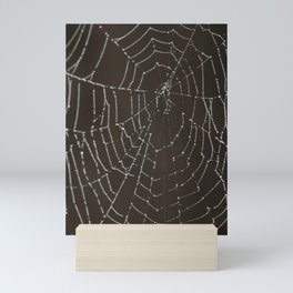 Spiderweb in Spring Mini Art Print