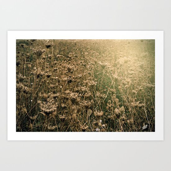 A different kind of nature's beauty Art Print