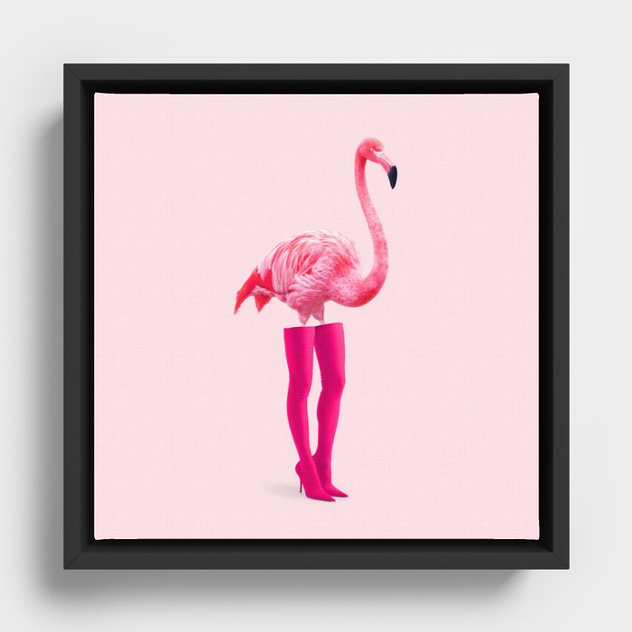 Framed Canvas