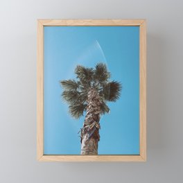 Palm Trees Framed Mini Art Print