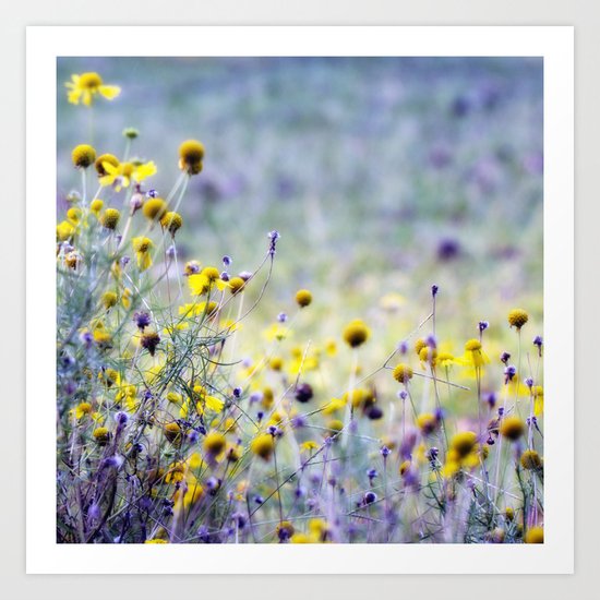 A Dream within a Dream Art Print