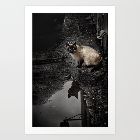 Cat Art Print