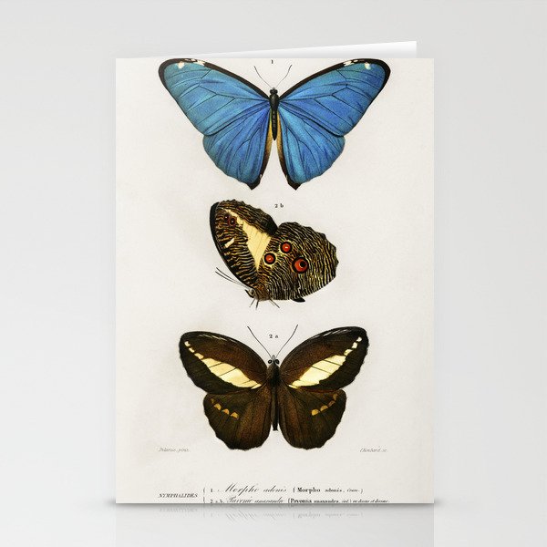 Different Types of Butterfly Stationery Cards